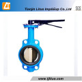 Manufacturer Cast Iron Wafer Butterfly Valve